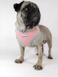 Bild in Galerie-Betrachter laden, Premium dog harness in pink. Luxury dog accessories.