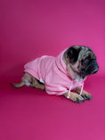 Bild in Galerie-Betrachter laden, Cozy dog hoodie in pink. Luxury dog accessories.