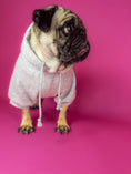 Bild in Galerie-Betrachter laden, Dog clothing. Dog hoodie.