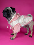 Bild in Galerie-Betrachter laden, Premium dog hoodie in pink. Luxury dog accessories.