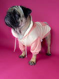 Bild in Galerie-Betrachter laden, Premium dog hoodie in pink. Luxury dog accessories.