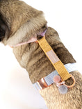 Bild in Galerie-Betrachter laden, Our DAYDREAMER HARNESS is a luxurious and stylish dog accessory in soft pastel colors. With a buckle in rose gold, this H harness is a pastel dream and an eye-catching dog accessory.