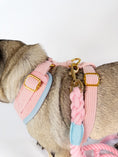 Bild in Galerie-Betrachter laden, Our TAILWAGGER LEASH is a soft rope style dog leash in a pastel pink color made with 100% premium cotton.