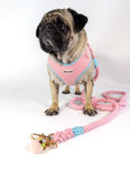 Bild in Galerie-Betrachter laden, Our TAILWAGGER LEASH is a soft rope style dog leash in a pastel pink color made with 100% premium cotton. The dog leash perfectly fits with our TAILWAGGER HARNESS.