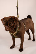 Bild in Galerie-Betrachter laden, BOHO ESSENCE HARNESS