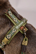 Bild in Galerie-Betrachter laden, BOHO ESSENCE HARNESS

