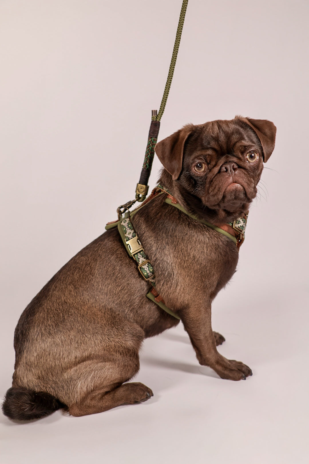 BOHO ESSENCE HARNESS