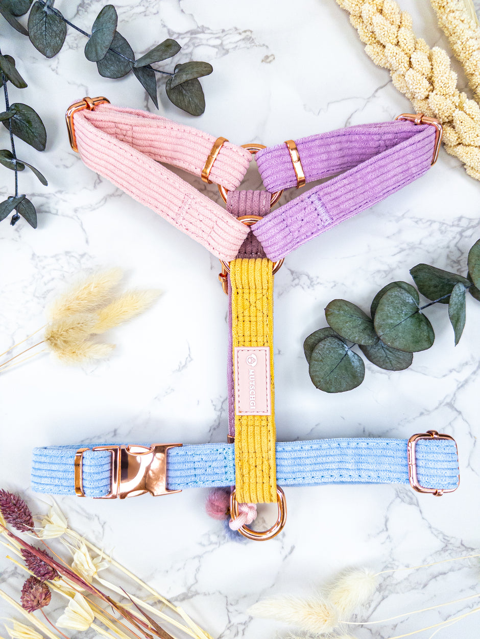 Our DAYDREAMER HARNESS is a luxurious and stylish dog accessory in soft pastel colors. With a buckle in rose gold, this H harness is a pastel dream and an eye-catching dog accessory.