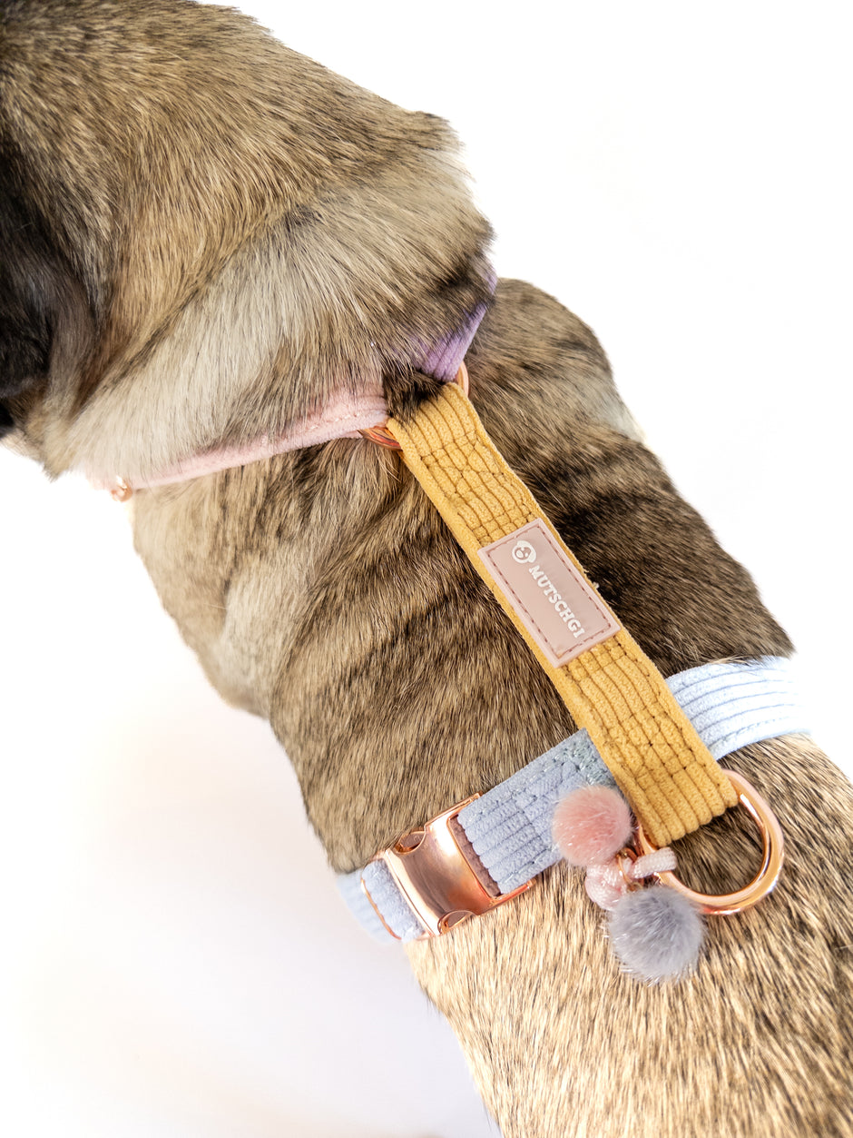 Our DAYDREAMER HARNESS is a luxurious and stylish dog accessory in soft pastel colors. With a buckle in rose gold, this H harness is a pastel dream and an eye-catching dog accessory.