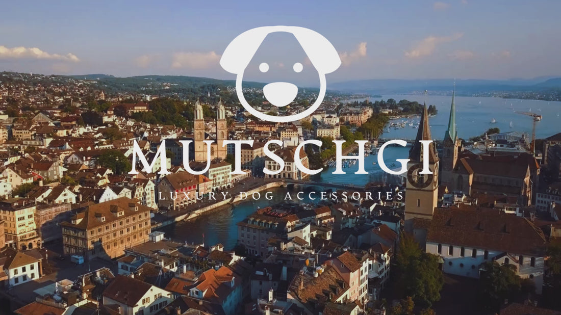 MUTSCHGI ist eine exklusive Online-Hundeboutique aus Zürich. Wir haben eine grosse Auswahl an Leinen, Halsbänder, Hundegeschirre (Gstältli), Hundebekleidung und weitere Premium Hundeaccessoires. Entdecke z.B. unsere Leinen und Halsbänder aus Paracord oder Tau.