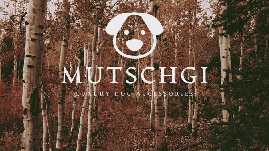 MUTSCHGI ist ein Online-Shop aus der Schweiz und verkauft Premium Hundeartikel. Unsere Hundegeschirre (Gstältli) sehen nicht nur gut aus, sondern sind innovativ, funktional und individuell.